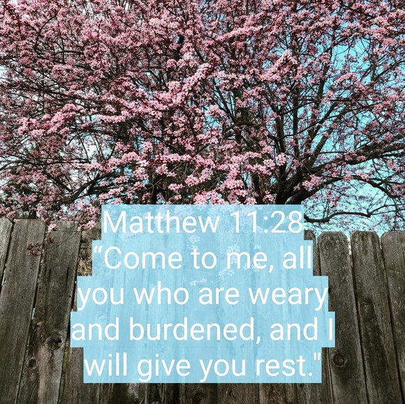 Meet your Posher, Jade - Picture 1 of 1